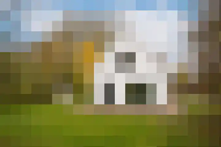 Waaldijk 85 Hurwenen thumbnail 60
