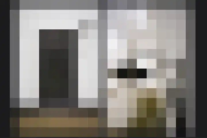 Waaldijk 85 Hurwenen thumbnail 61