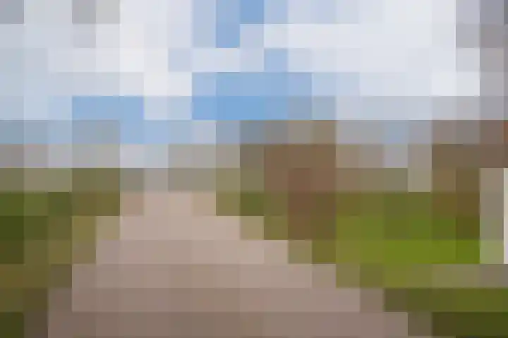 Waaldijk 85 Hurwenen thumbnail 62