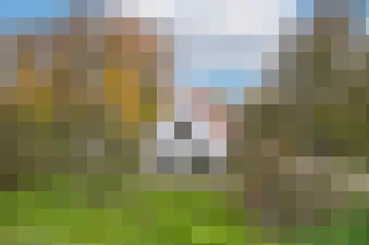 Waaldijk 85 Hurwenen thumbnail 63