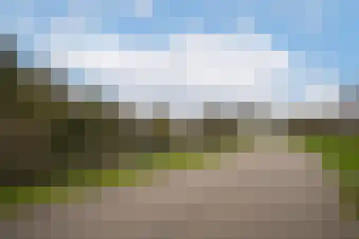 Waaldijk 85 Hurwenen thumbnail 65