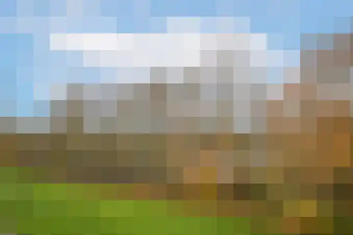 Waaldijk 85 Hurwenen thumbnail 66