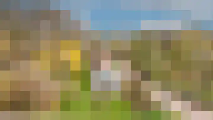 Waaldijk 85 Hurwenen thumbnail 68