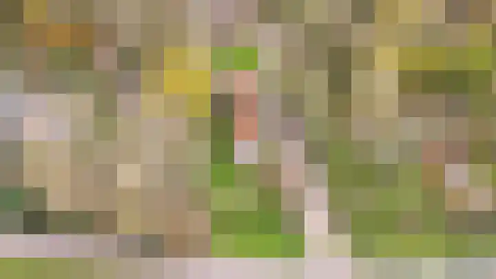 Waaldijk 85 Hurwenen thumbnail 69