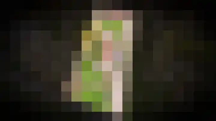 Waaldijk 85 Hurwenen thumbnail 70