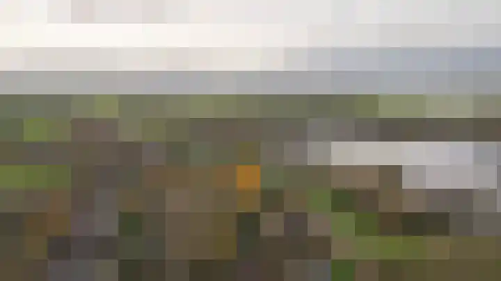 Waaldijk 85 Hurwenen thumbnail 73