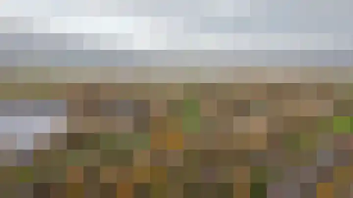 Waaldijk 85 Hurwenen thumbnail 74