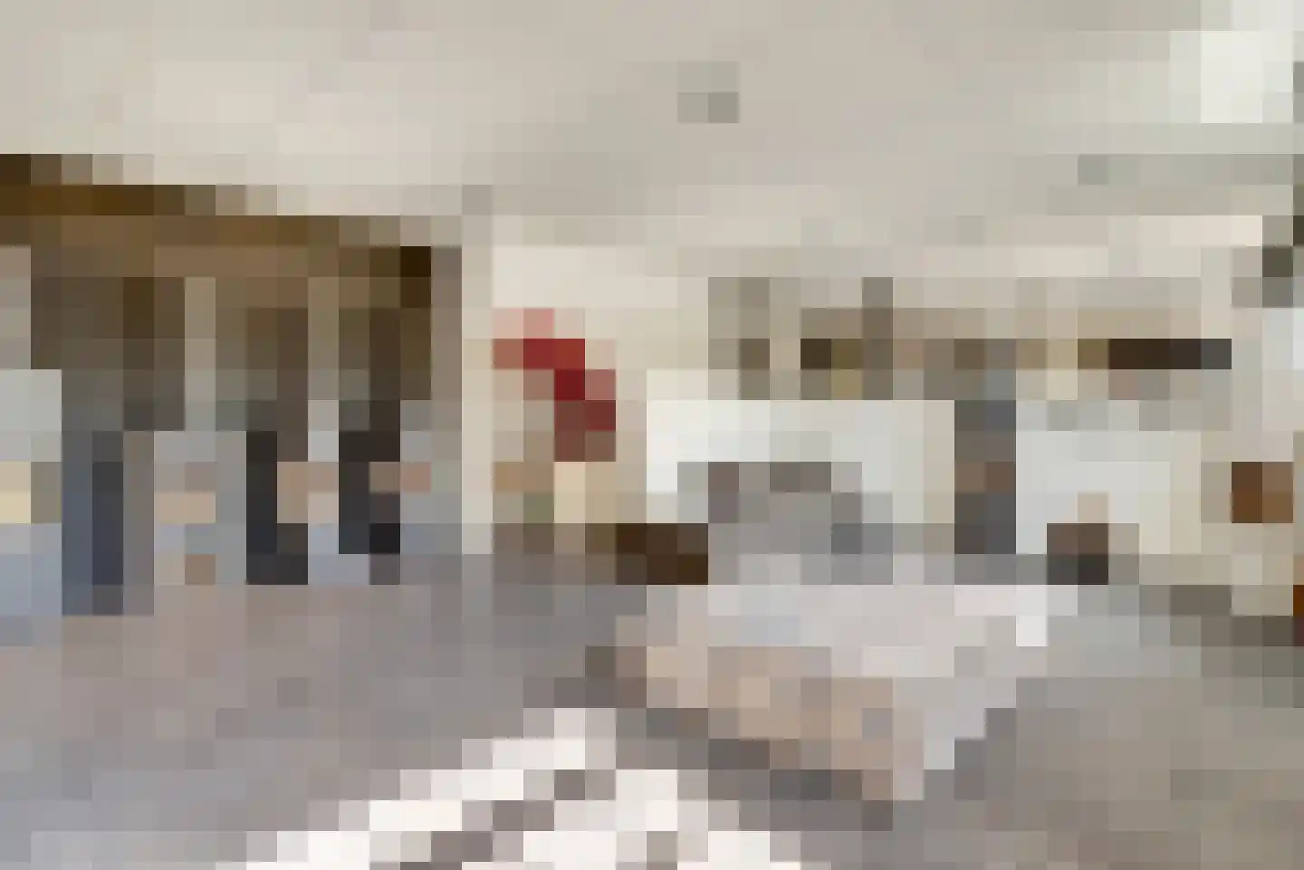 Waaldijk 89 Vuren thumbnail 38