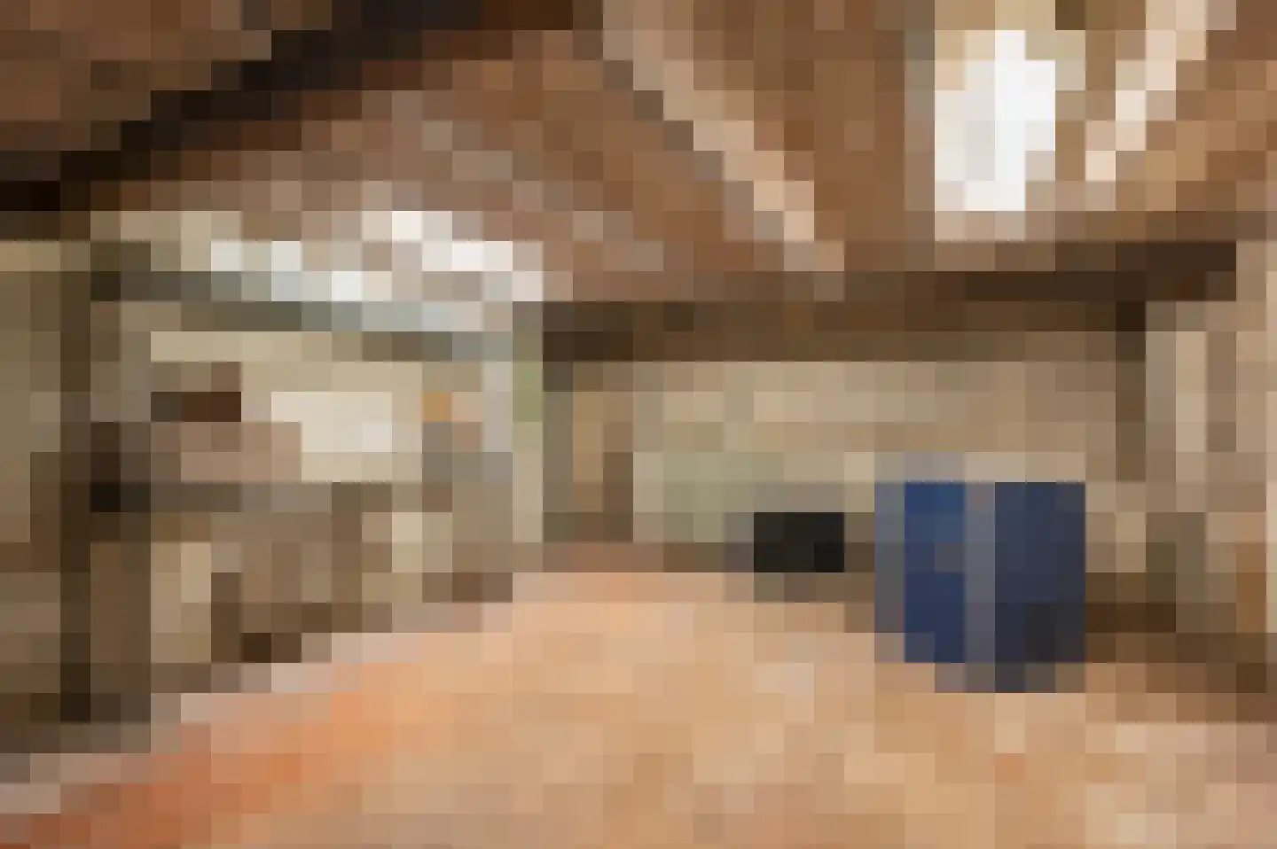 Waaldijk 89 Vuren thumbnail 48