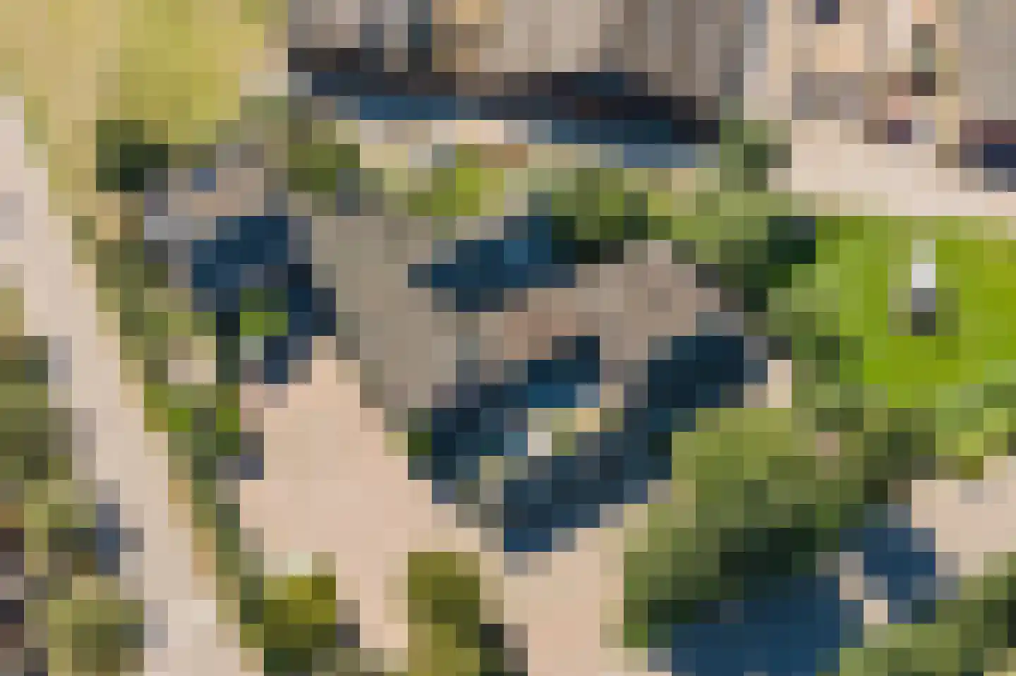 Waaldijk 89 Vuren thumbnail 69