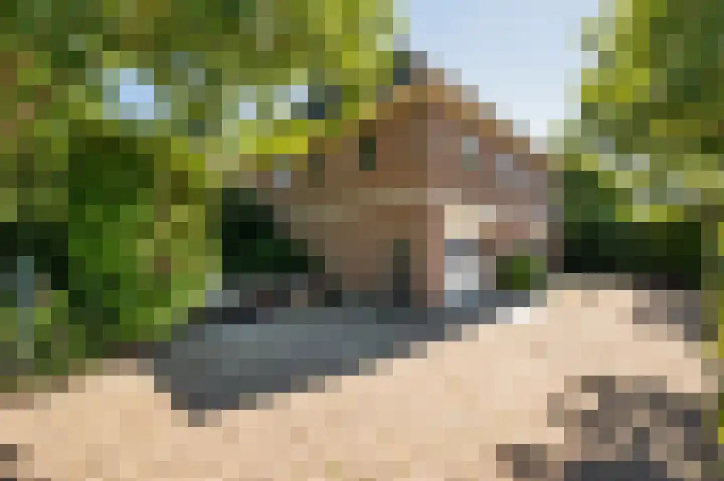 Waaldijk 89 Vuren thumbnail 73