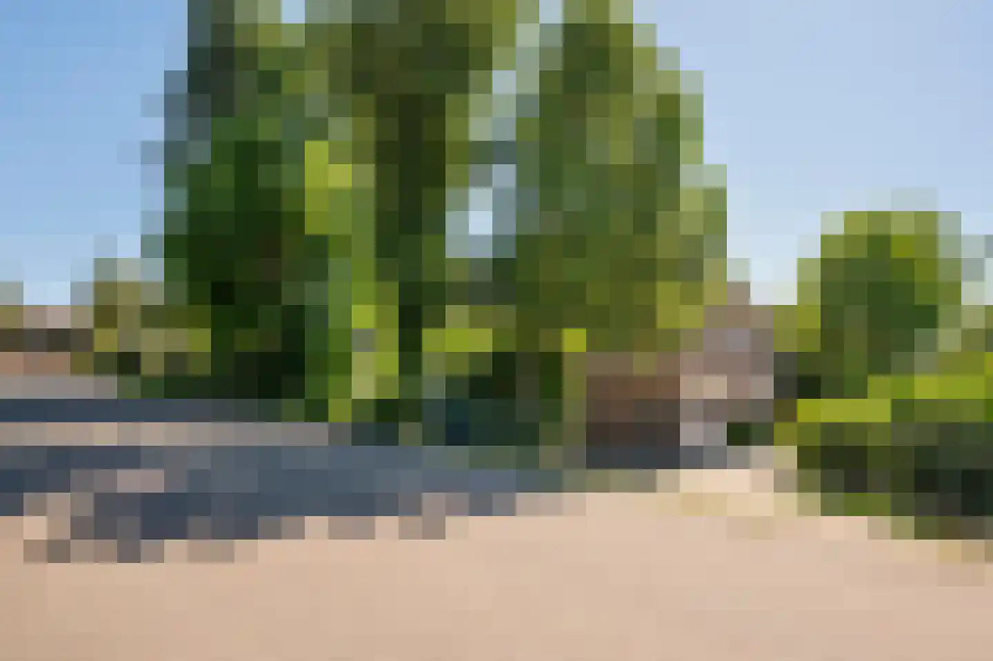 Waaldijk 89 Vuren thumbnail 77