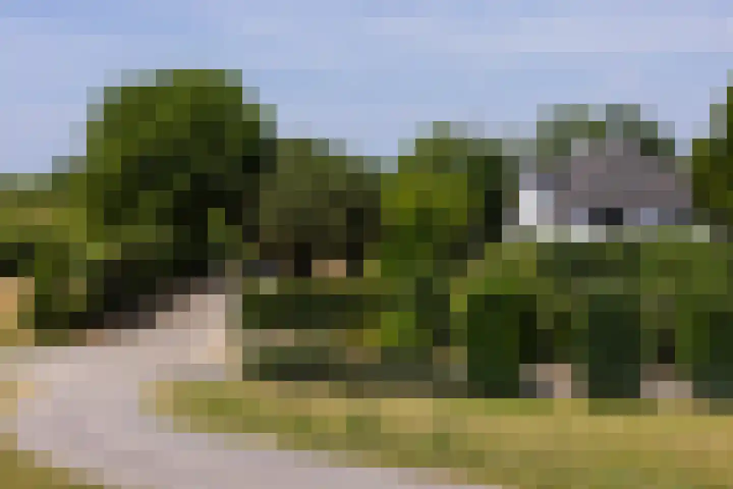 Waaldijk 9 Andelst thumbnail 13