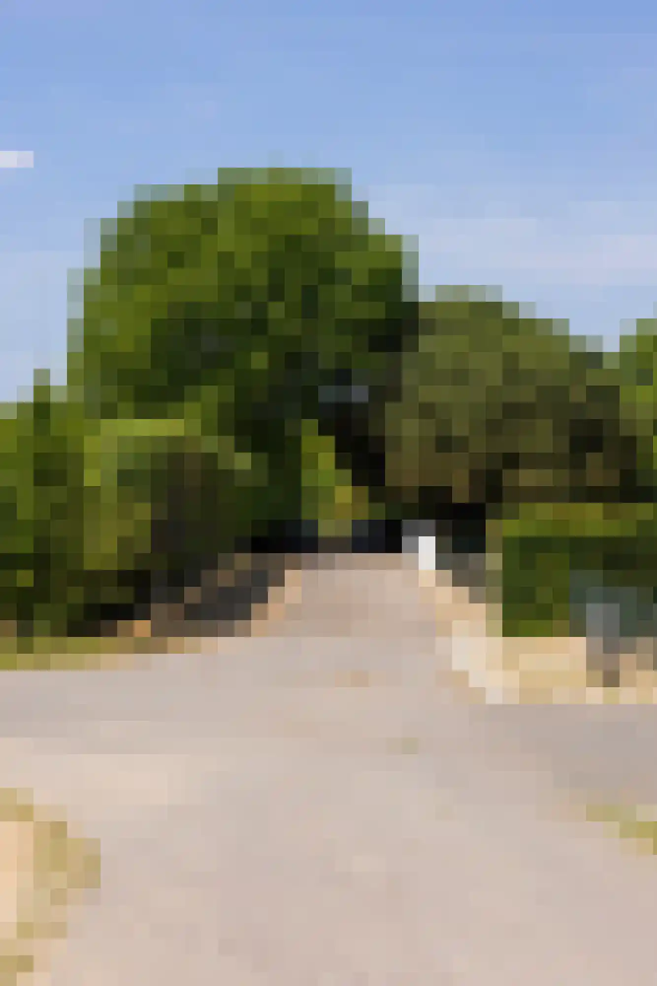 Waaldijk 9 Andelst thumbnail 14