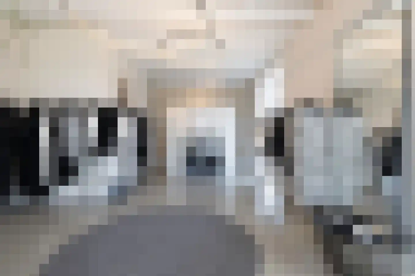 Waaldijk 9 Andelst thumbnail 20