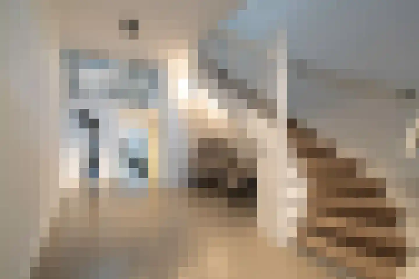 Waaldijk 9 Andelst thumbnail 22