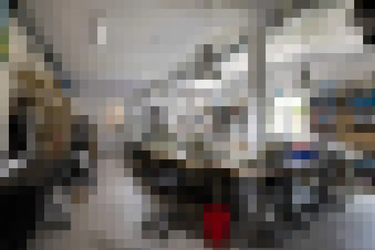 Waaldijk 9 Andelst thumbnail 23