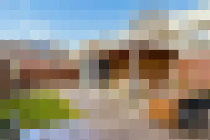 Waaldijk 9 Andelst thumbnail 28