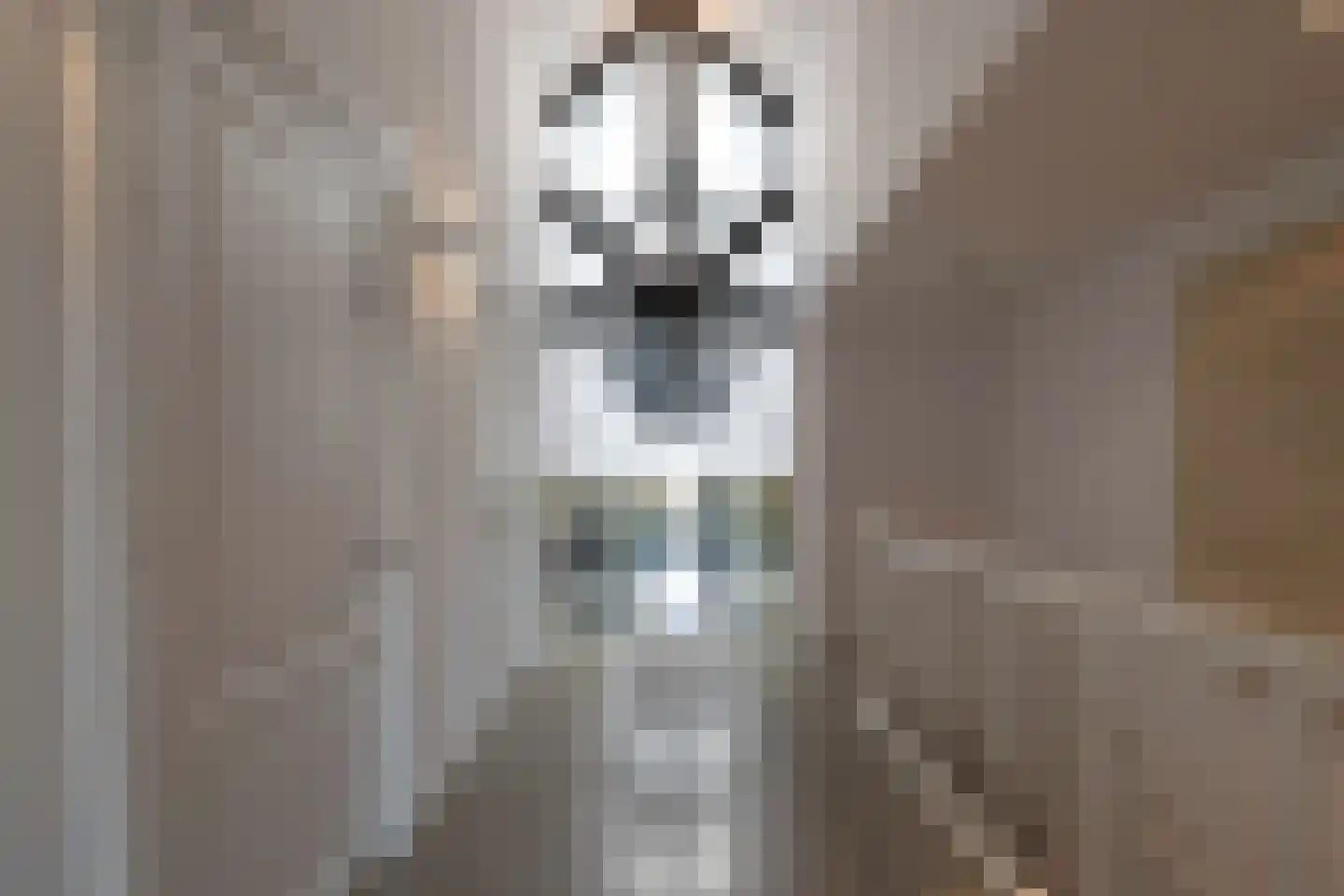 Waaldijk 9 Andelst thumbnail 31