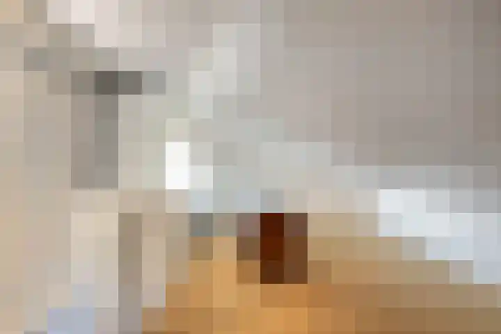 Waaldijk 9 Andelst thumbnail 45