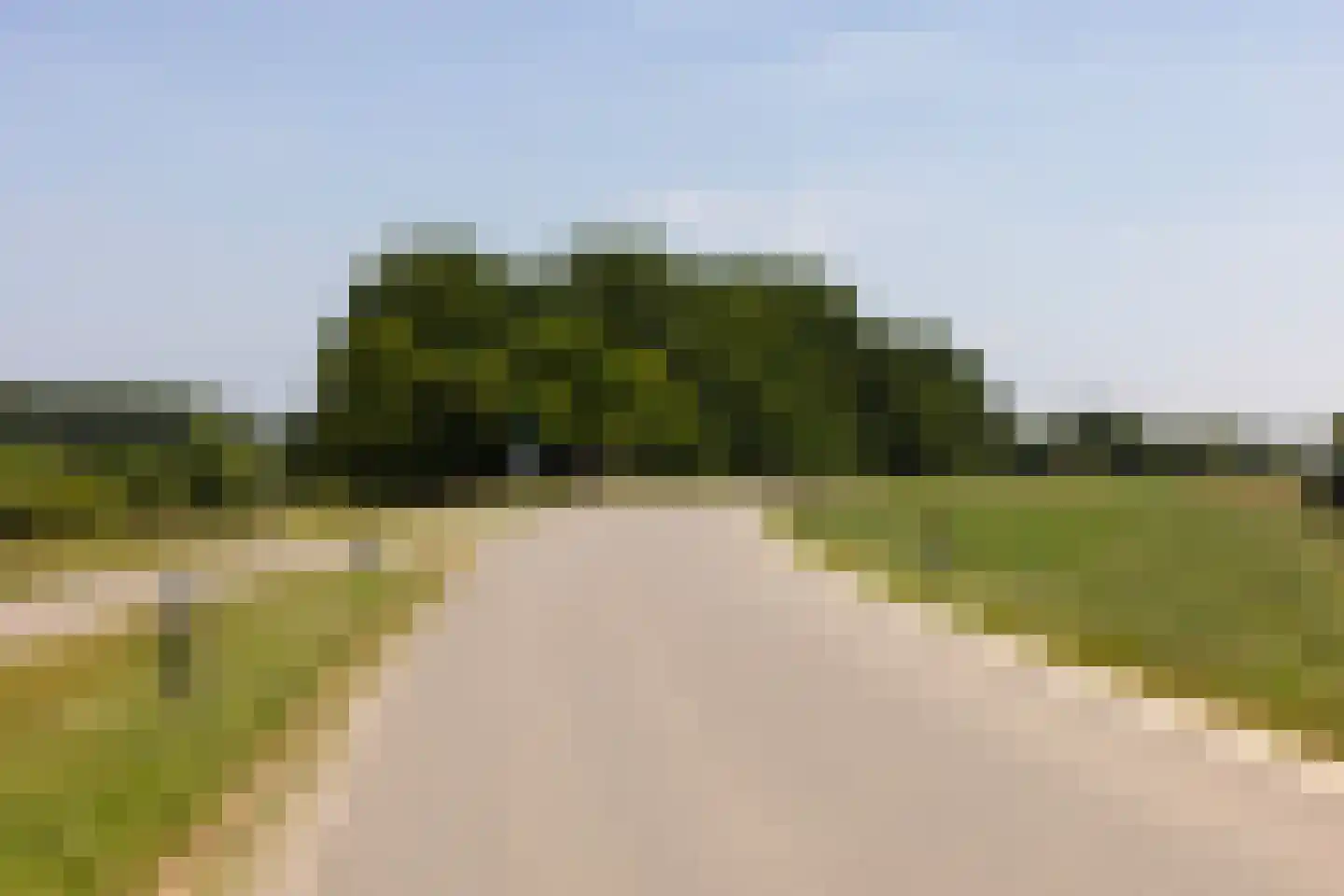 Waaldijk 9 Andelst thumbnail 46