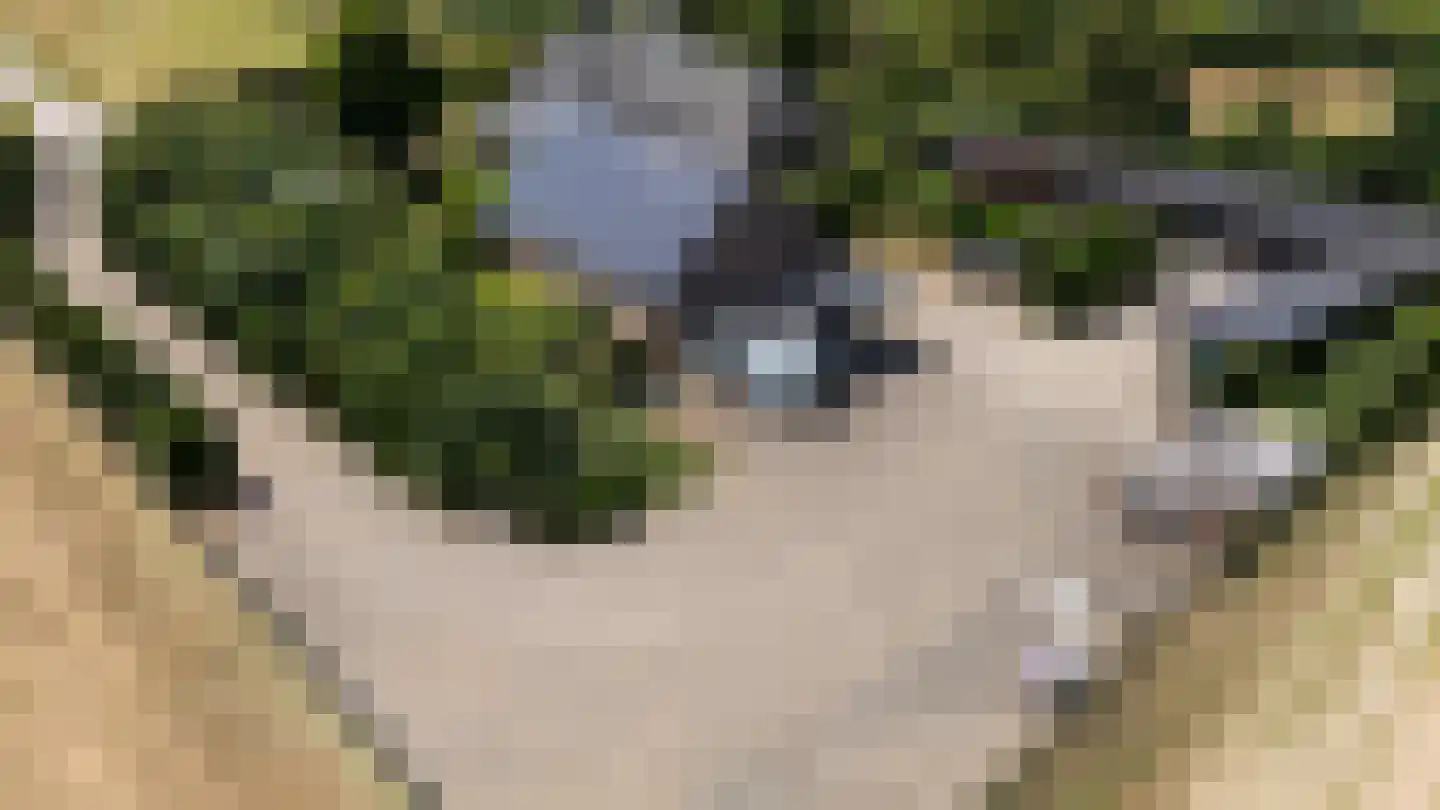 Waaldijk 9 Andelst thumbnail 48