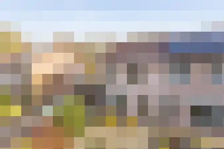 Waaldijk 9 Andelst thumbnail 51