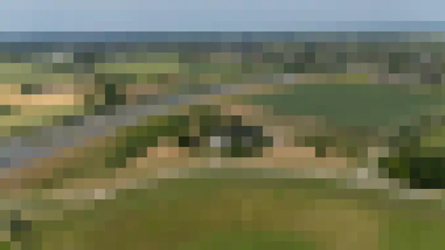 Waaldijk 9 Andelst thumbnail 52