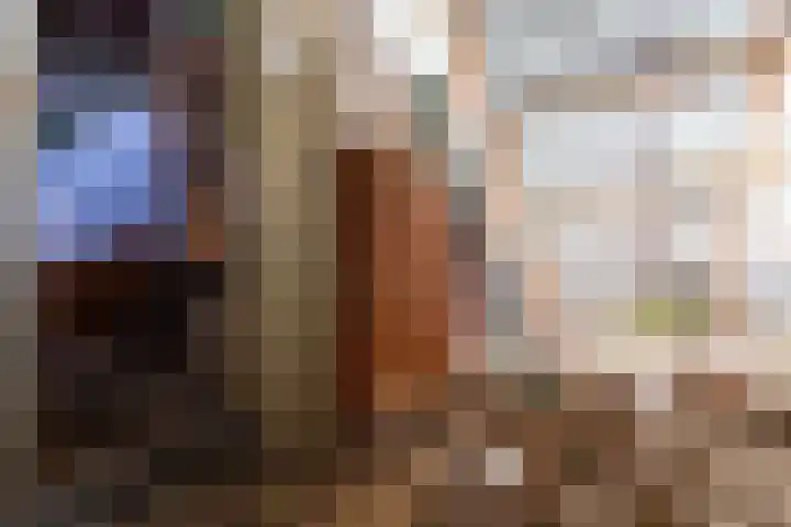 Waaldijk 91 Brakel thumbnail 13