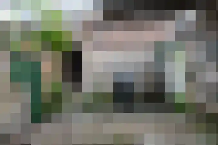 Waaldijk 91 Brakel thumbnail 14