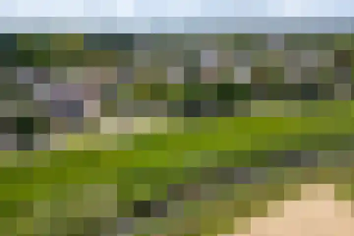 Waaldijk 91 Brakel thumbnail 15
