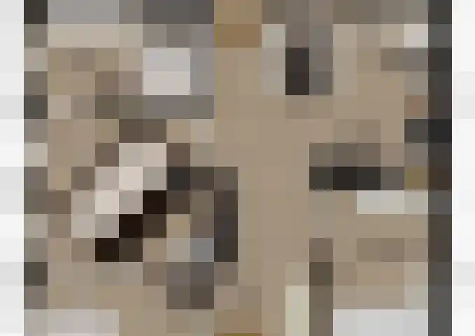 Waaldijk 91 Brakel thumbnail 18