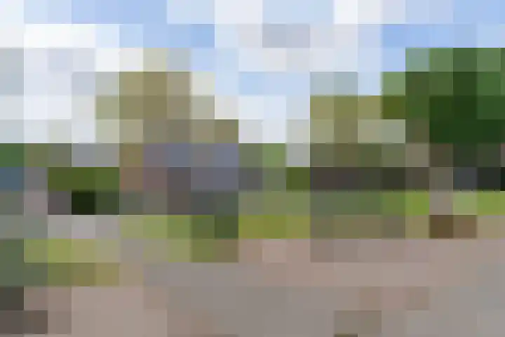 Waaldijk 91 Brakel thumbnail 4