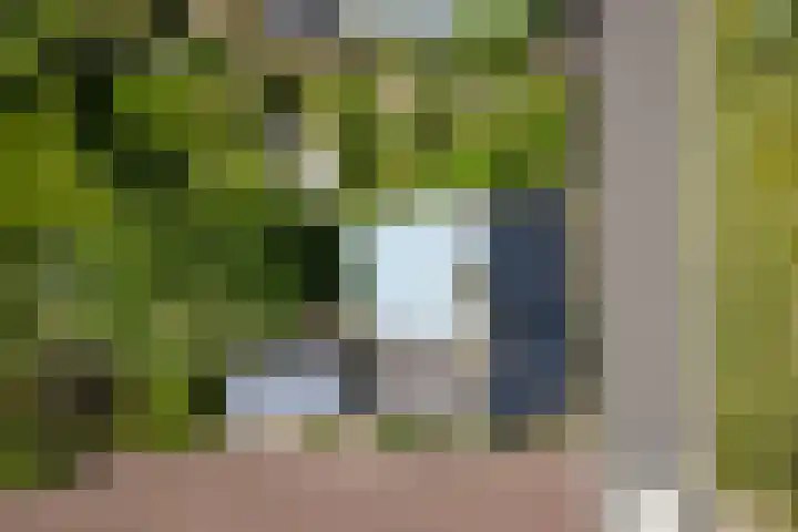 Waaldijk 91 Brakel thumbnail 5