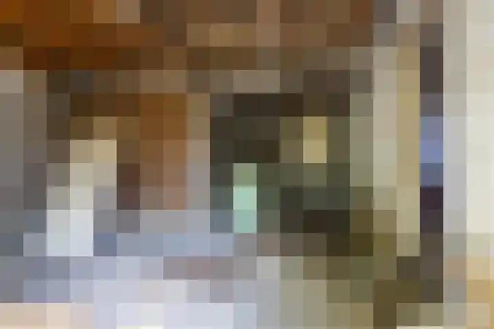 Waaldijk 91 Brakel thumbnail 7