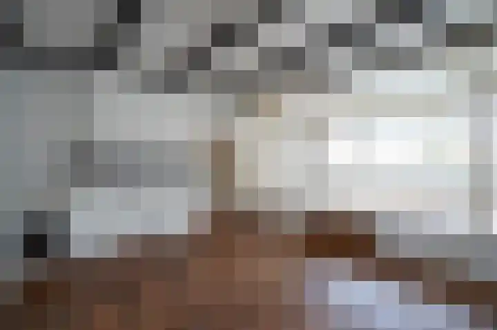 Waaldijk 94 Herwijnen thumbnail 11
