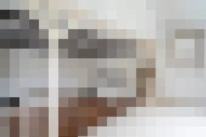 Waaldijk 94 Herwijnen thumbnail 14
