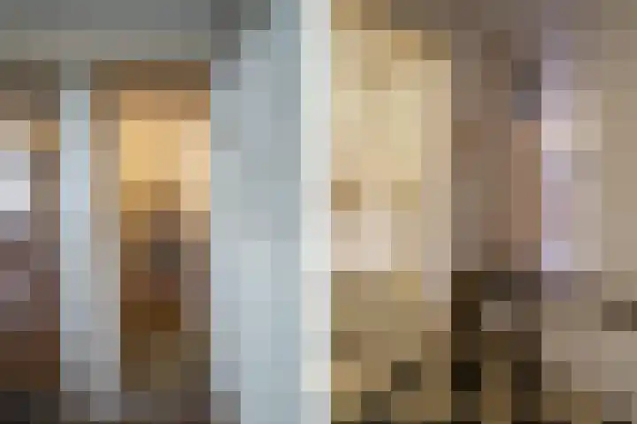 Waaldijk 94 Herwijnen thumbnail 20
