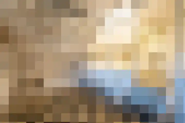 Waaldijk 94 Herwijnen thumbnail 23