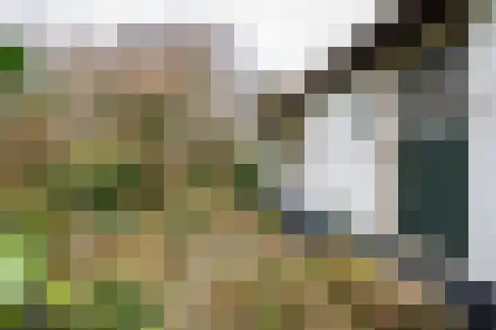 Waaldijk 94 Herwijnen thumbnail 28