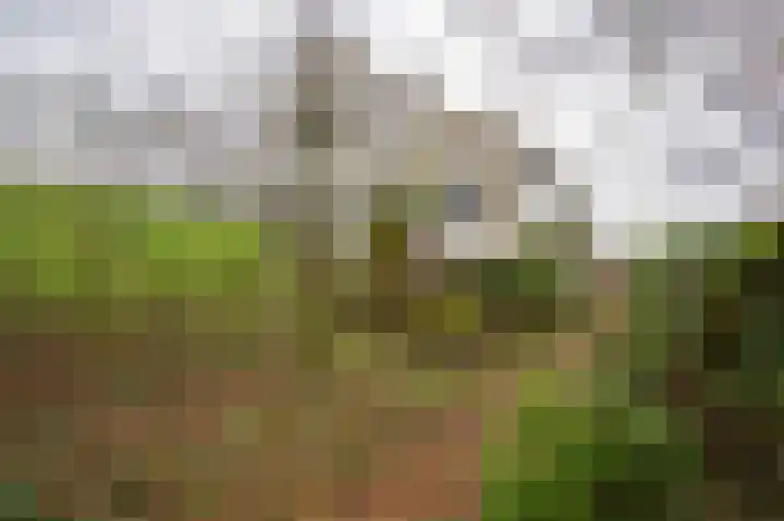 Waaldijk 94 Herwijnen thumbnail 29