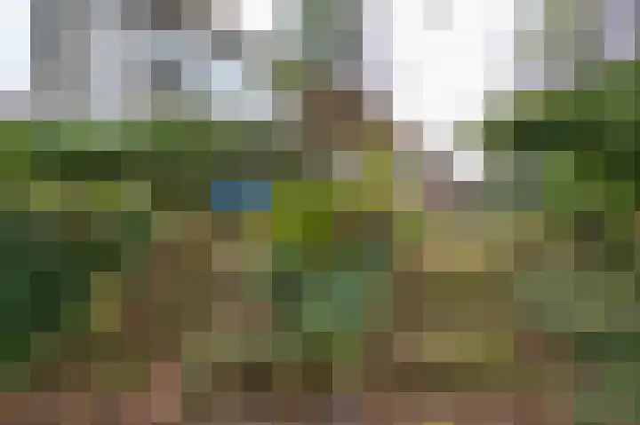 Waaldijk 94 Herwijnen thumbnail 30