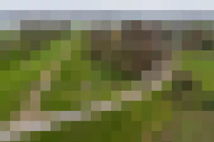 Waaldijk 94 Herwijnen thumbnail 31
