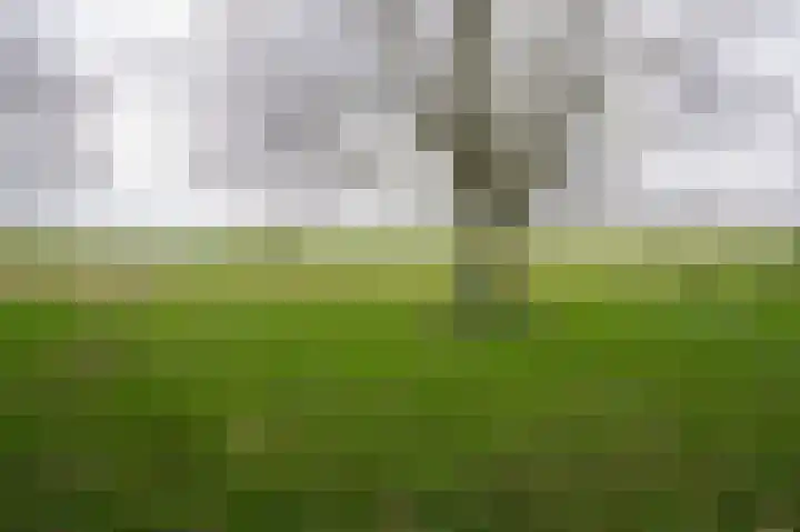 Waaldijk 94 Herwijnen thumbnail 32