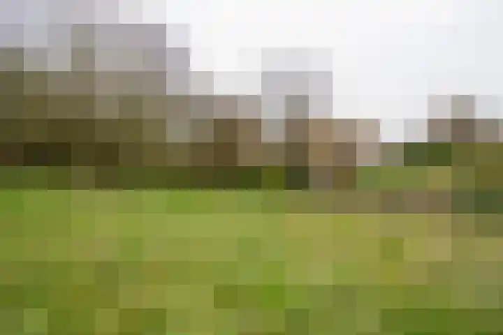 Waaldijk 94 Herwijnen thumbnail 33