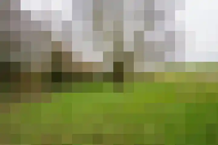 Waaldijk 94 Herwijnen thumbnail 34