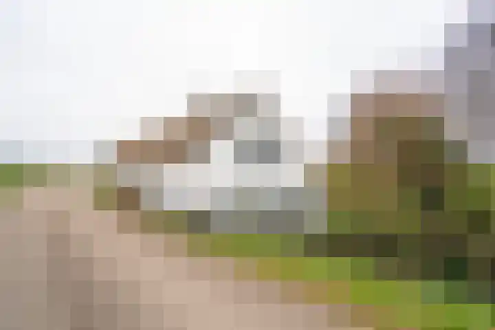 Waaldijk 94 Herwijnen thumbnail 4