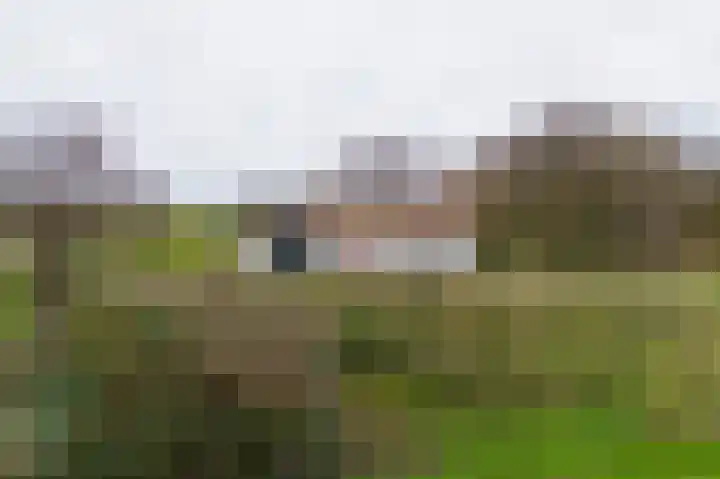 Waaldijk 94 Herwijnen thumbnail 5
