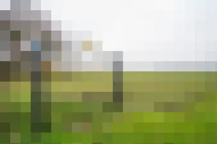 Waaldijk 94 Herwijnen thumbnail 6