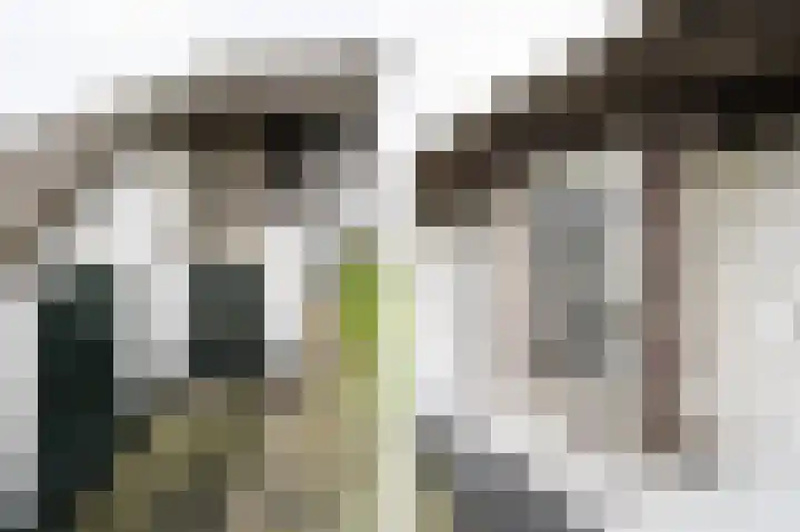 Waaldijk 94 Herwijnen thumbnail 7